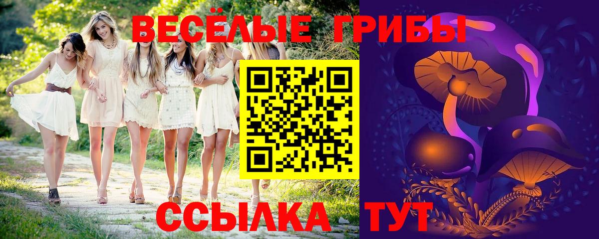 Галлюциногенные грибы прущие грибы  Галлюциногенные грибы MAGIC MUSHROOMS  Ленинск-Кузнецкий  Вход с VPN 